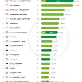 WhatsApp Image 2025-06-12 at 21.26.57_f8584b51 