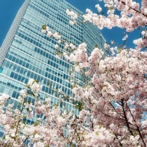 pexels-luk-sauvage-2151554777-31733954 